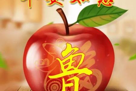 鲁姓女孩名字大全-鲁姓女孩起名字大全-鲁姓名字大全姓名