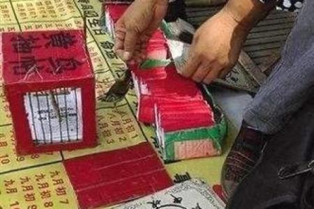鸟儿算命图片大全