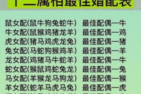 【牛的生肖搭配大全】符合12星座的完美组合推荐！