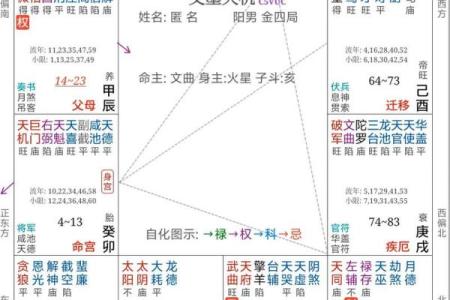 紫薇斗数行限推算法书价格