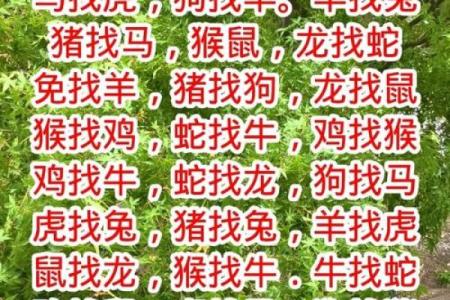 生肖配对什么生肖最好 最好的生肖组合