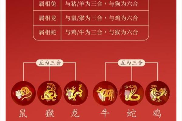 蛇跟什么生肖配对最好 生肖蛇最佳配对