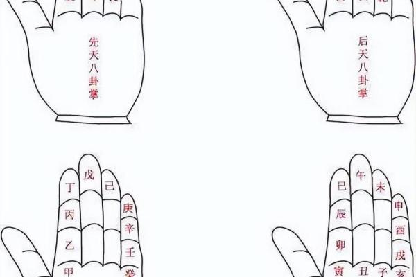 算命的术语,算命专用术语