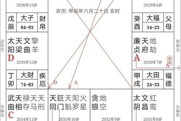 紫薇斗数财帛宫天月