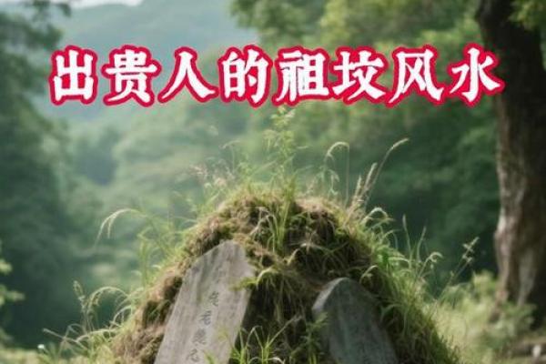 梦见祖改风水