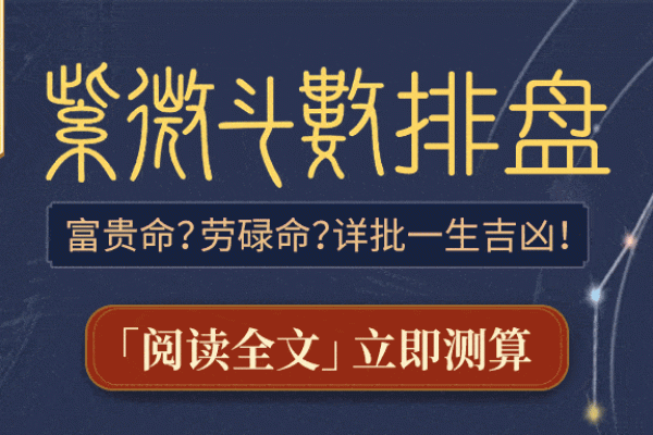 最准紫薇斗数app
