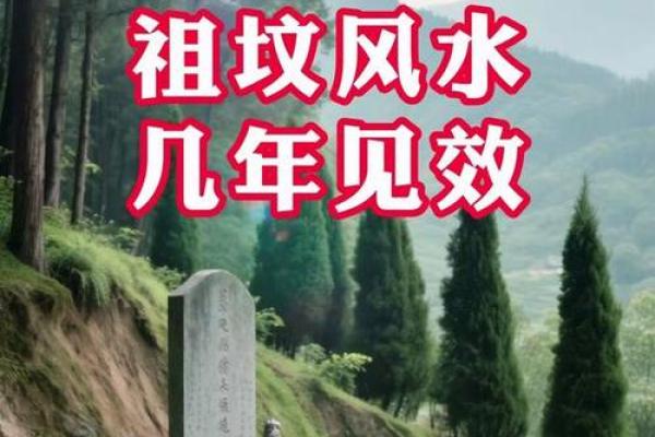 城市风水_别人的祖坟要葬在我家地里
