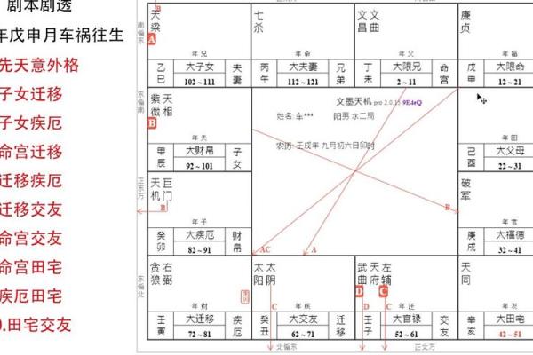 紫薇斗数紫府