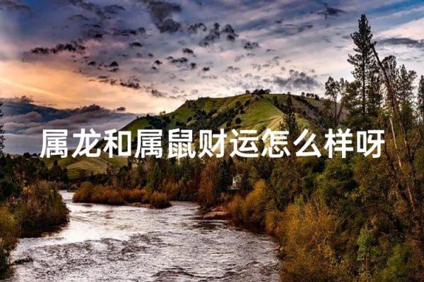 属鼠和属龙的犯冲吗 属鼠和属龙配对合适吗