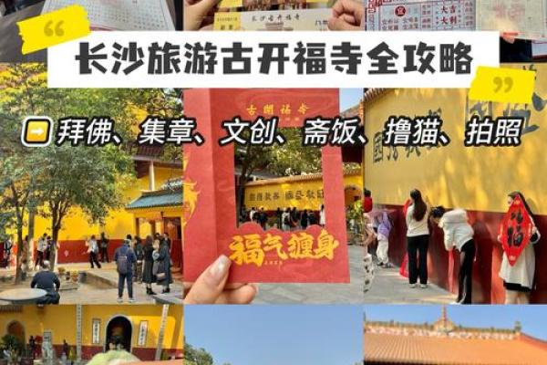 长沙求签很灵的地方  长沙开福寺500罗汉解签大全
