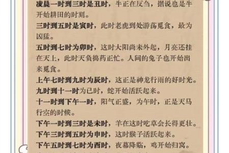 论五行八字