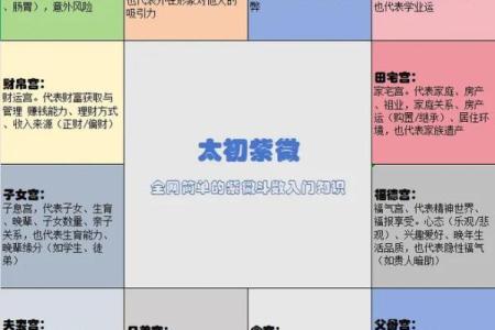紫薇斗数自学看