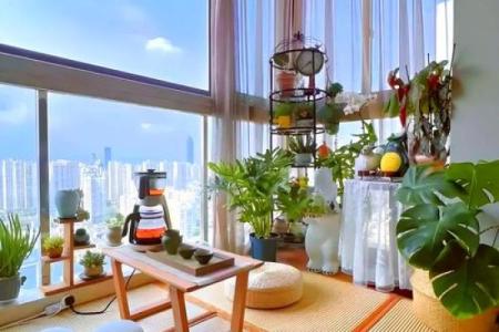 阳台风水：风水改运改命旺事业