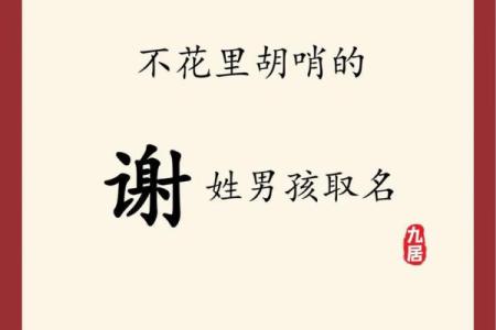 2019年6月13号子时出生的男孩起名方法姓名