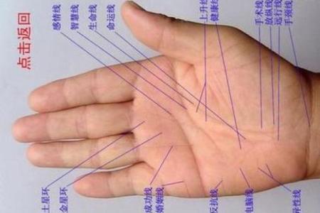 看手相算命：第三课 指头与掌型