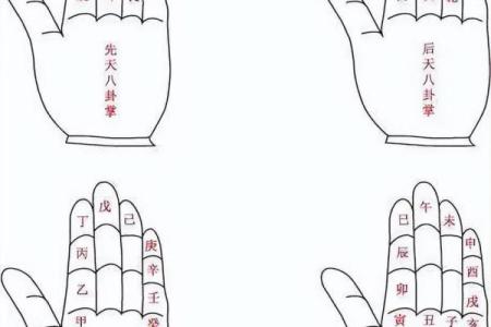算命的术语,算命专用术语