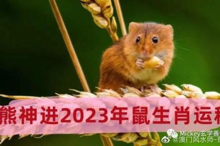 熊神进3月星座运程