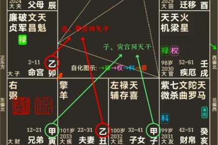 在线紫薇斗数排盘分析