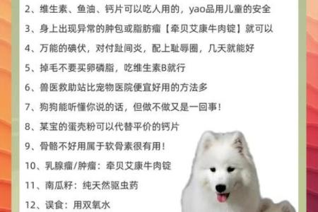 养狗风水禁忌 这样养狗只会破财招灾