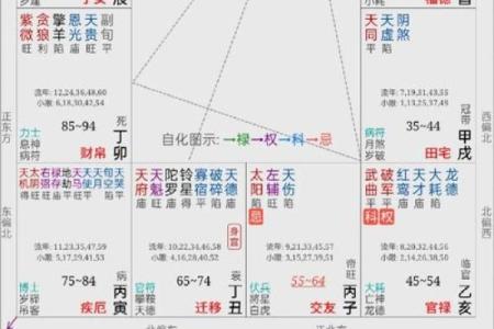 手机下载紫薇斗数