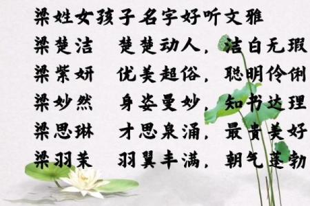 费姓男孩名字大全-费姓男孩起名字大全-费姓名字大全姓名
