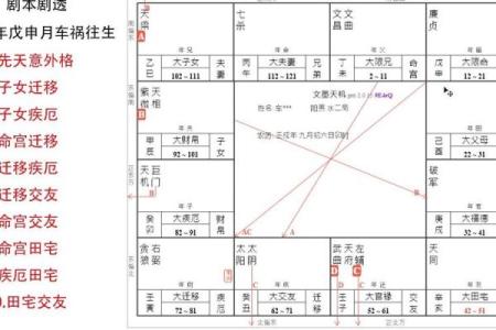 紫薇斗数紫府