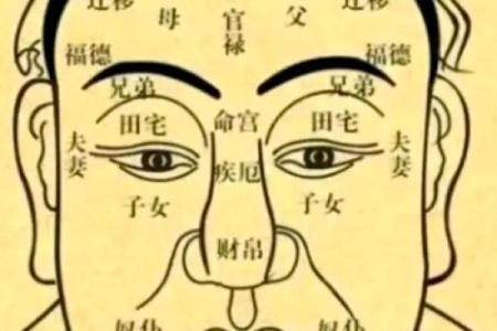 为什么算命的人说不能碰眉毛代表什么含义