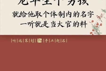 2月份出生的属龙男孩如何起名姓名