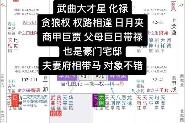 天府紫薇斗数