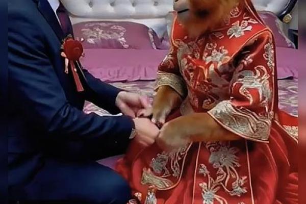 男猴女兔差7岁相配吗 真人在线算命婚姻