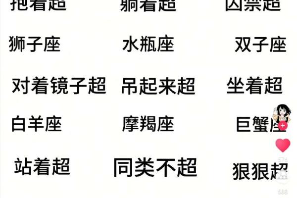 十二星座体重排名