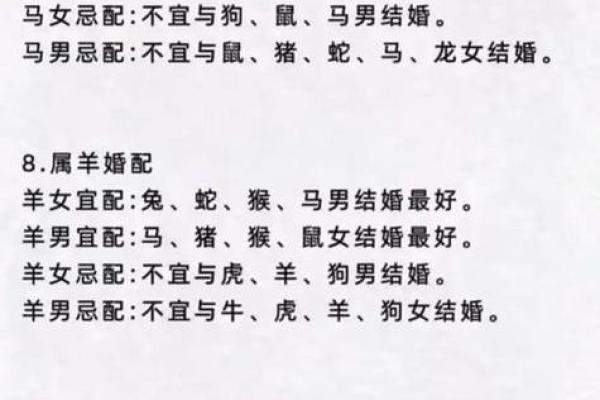 星座鼠和马配吗