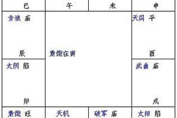 紫薇斗数斗君的意义