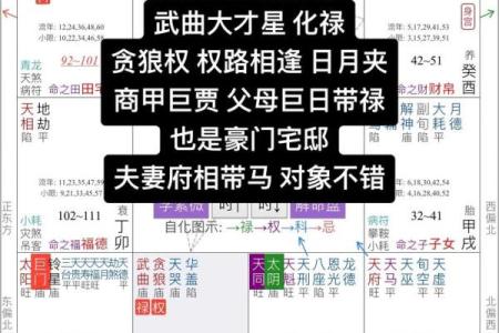 天府紫薇斗数