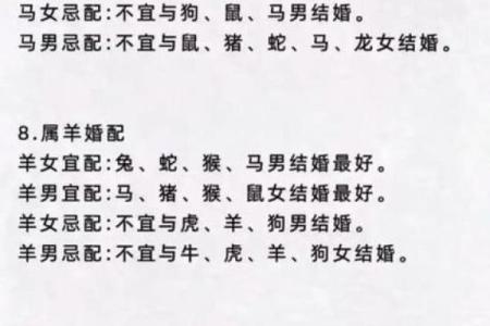 星座鼠和马配吗