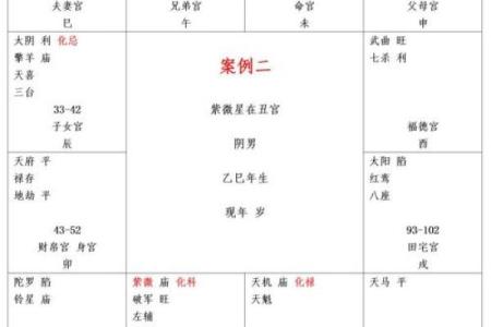 紫薇斗数测试网