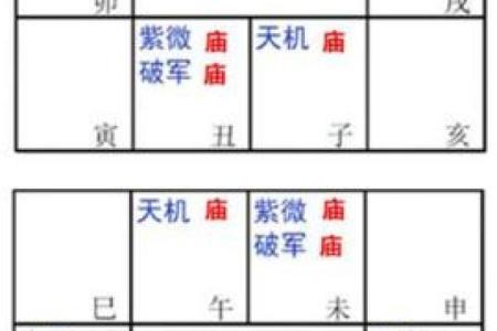 紫微斗数四化口诀,紫微斗数十二宫的角度分析