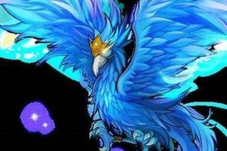 十二星座的坐骑是什么