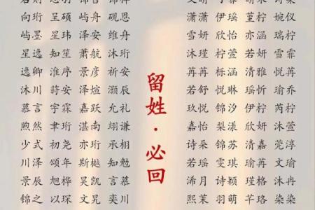 2019年4月30号卯时出生的男孩起名时要注意什么姓名