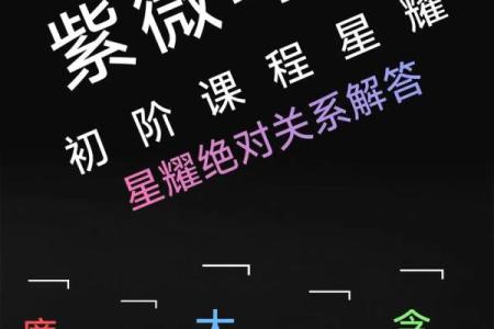 紫薇斗数中天才