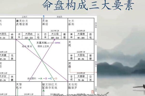 清朝道光皇帝紫微斗数命盘 清代道光？