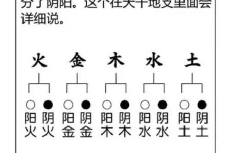 五行八字起名