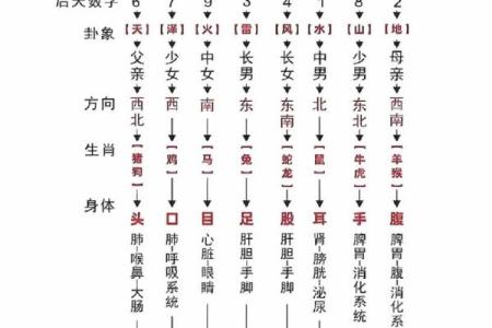 深度解析以太极易理八字，掌握易理精髓