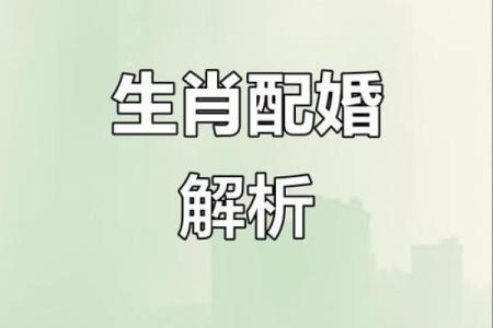 八字合婚：虎男配什么生肖女好