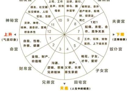 八字和星盘的准确度比较