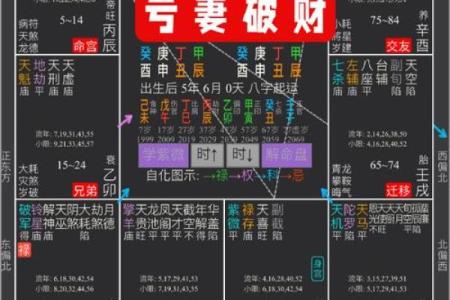 紫微斗数之夫妻宫与诸星，巨门星在夫妻宫是什么意思？