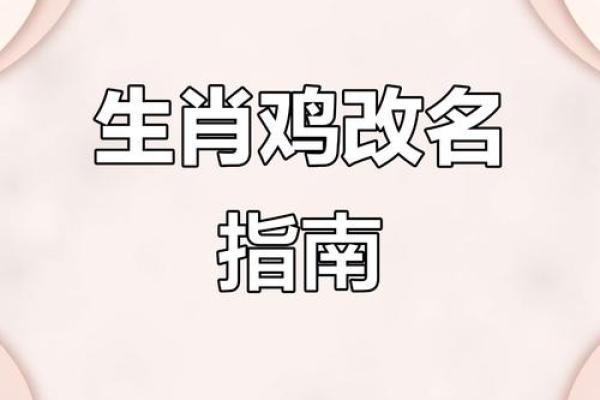 12月份出生的属鸡男孩起什么名字好姓名