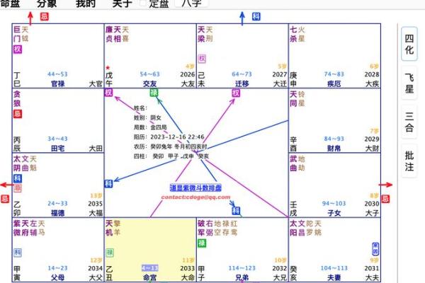 紫薇星盘怎么排