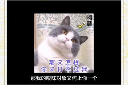 处女座的爱情死穴 处女座与12星座中的谁最有缘分