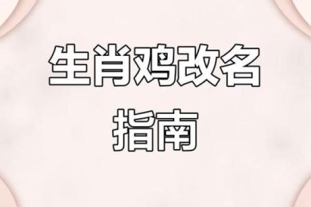 12月份出生的属鸡男孩起什么名字好姓名